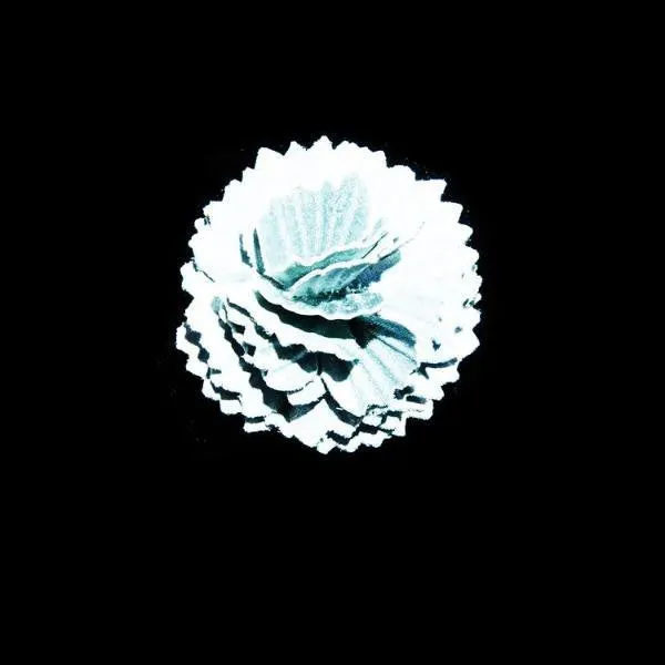 Blossom Boutonniere, Reflective Quicksilver