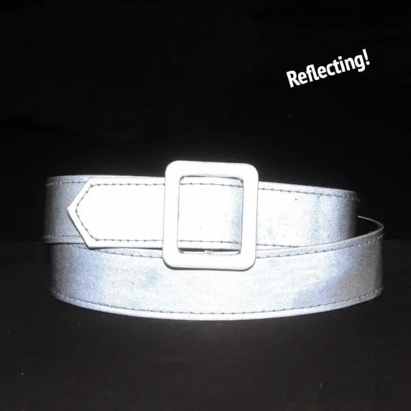 Gossamer Belt, Reflective Quick Silver