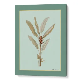 Plantain Tree II - Sage