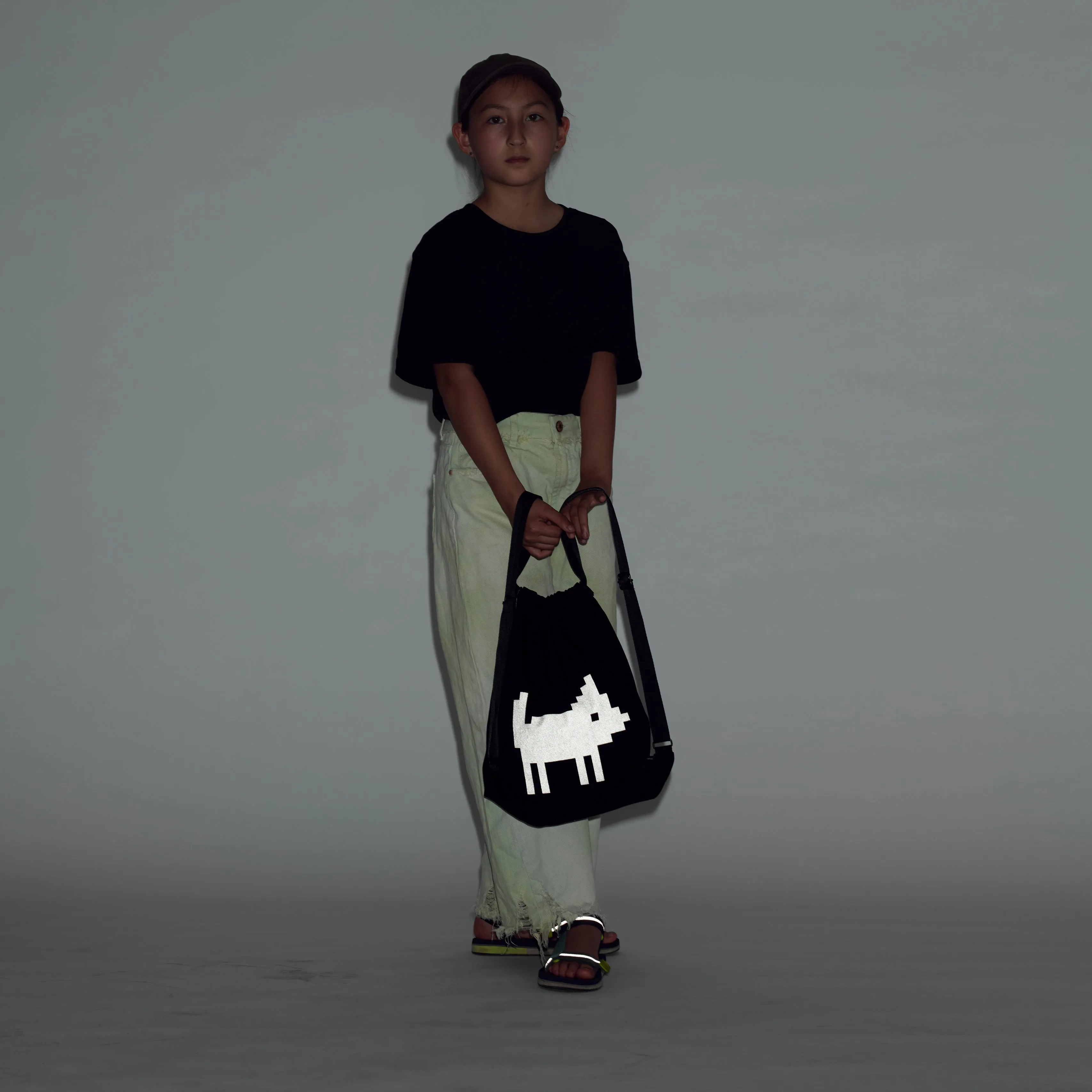reflective backpack DOG water resistant