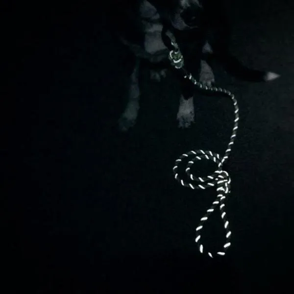 Wilderdog Reflective Rope Collar